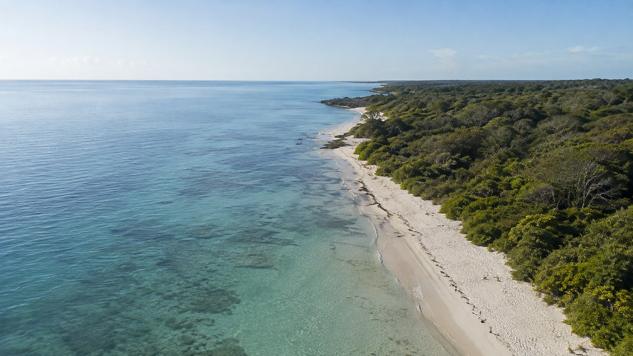Aerial view of the shoreline, reef flats and coastal forest at the Watamu site