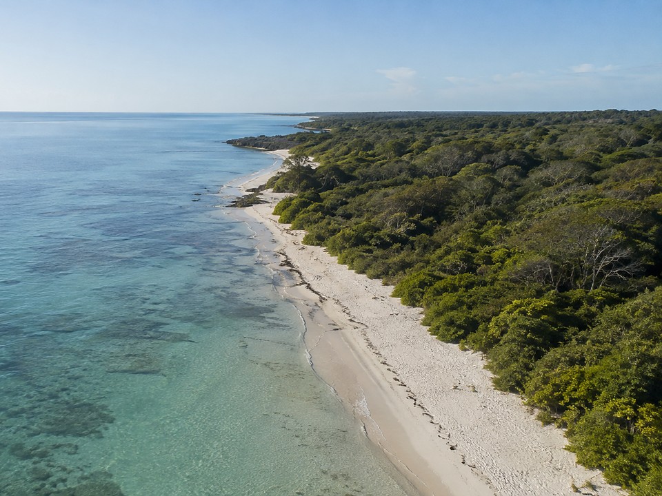 Coastal shoreline and vegetation typical of the sites Peponi originates