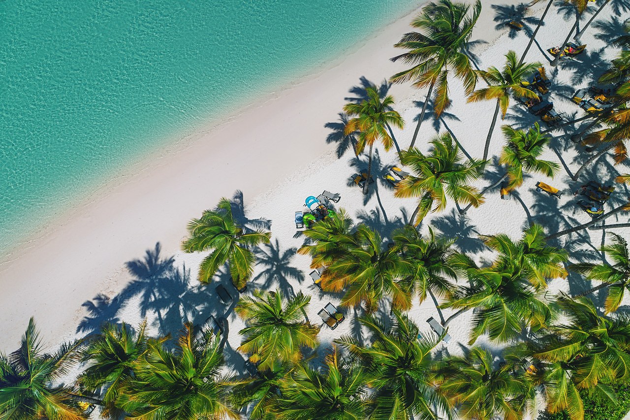 Aerial view of a palm-shaded shoreline typical of the coastal sites Peponi originates