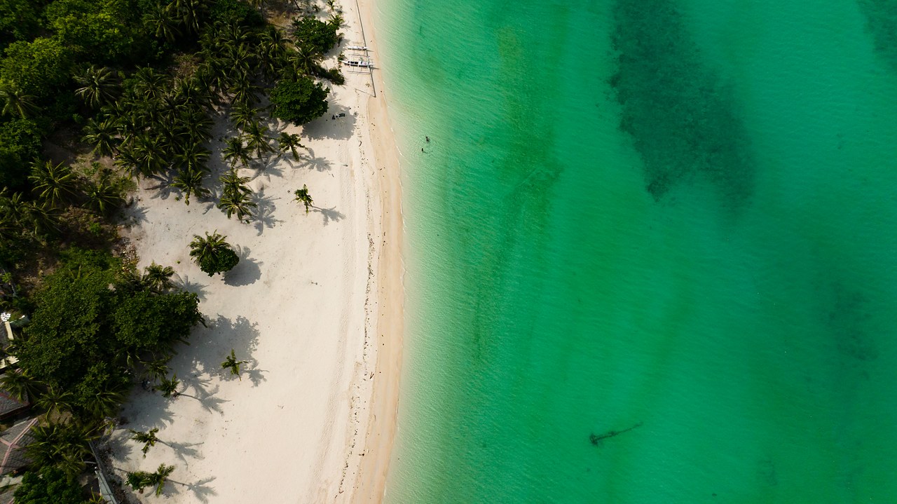 Aerial view of a Kenyan coastal shoreline, palm-shaded beach meeting shallow reef water