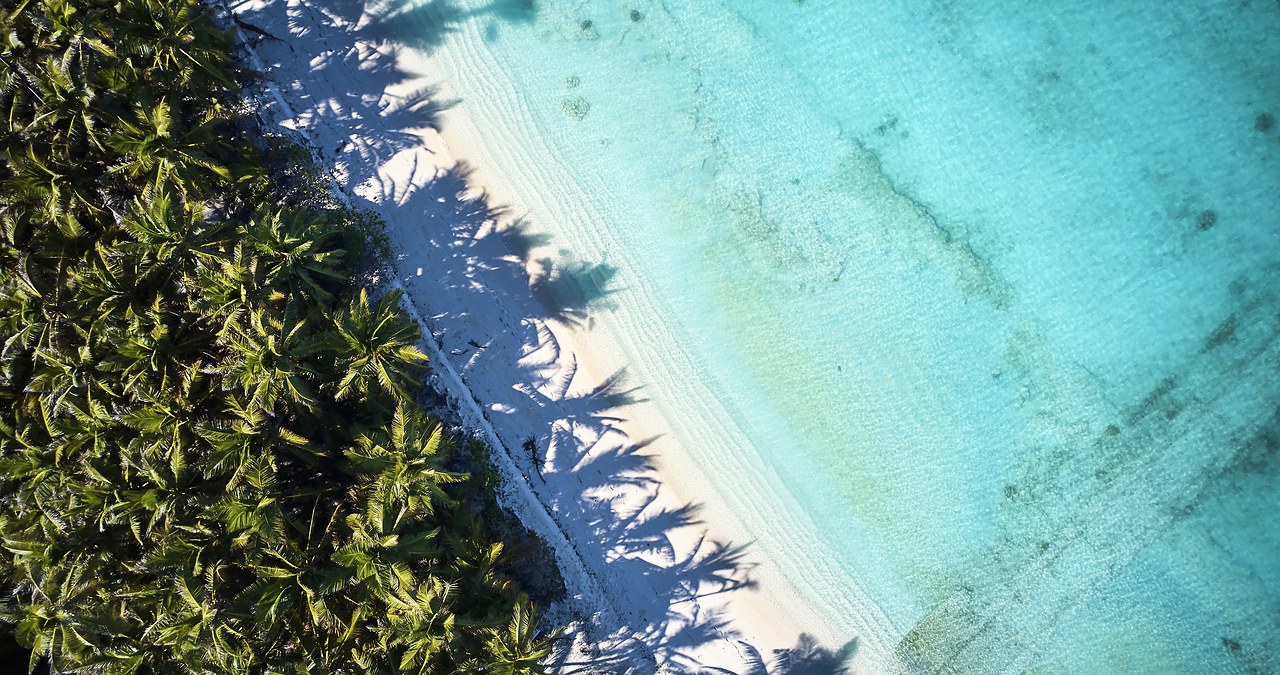 Aerial view of the Watamu site: coastal vegetation, beach frontage and reef shallows
